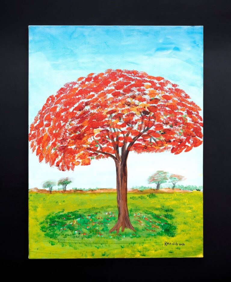 The-Flowering-Flame-Tree